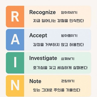RAIN 훈련법의 4단계(알아차리기, 받아들이기, 탐색하기, 주목하기)를 설명한 컬러 블록형 인포그래픽