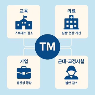 초월명상이 적용되는 현대 사회의 주요 분야 – 교육, 의료, 기업, 군대의 플랫 스타일 아이콘과 TM 효과를 연결한 인포그래픽